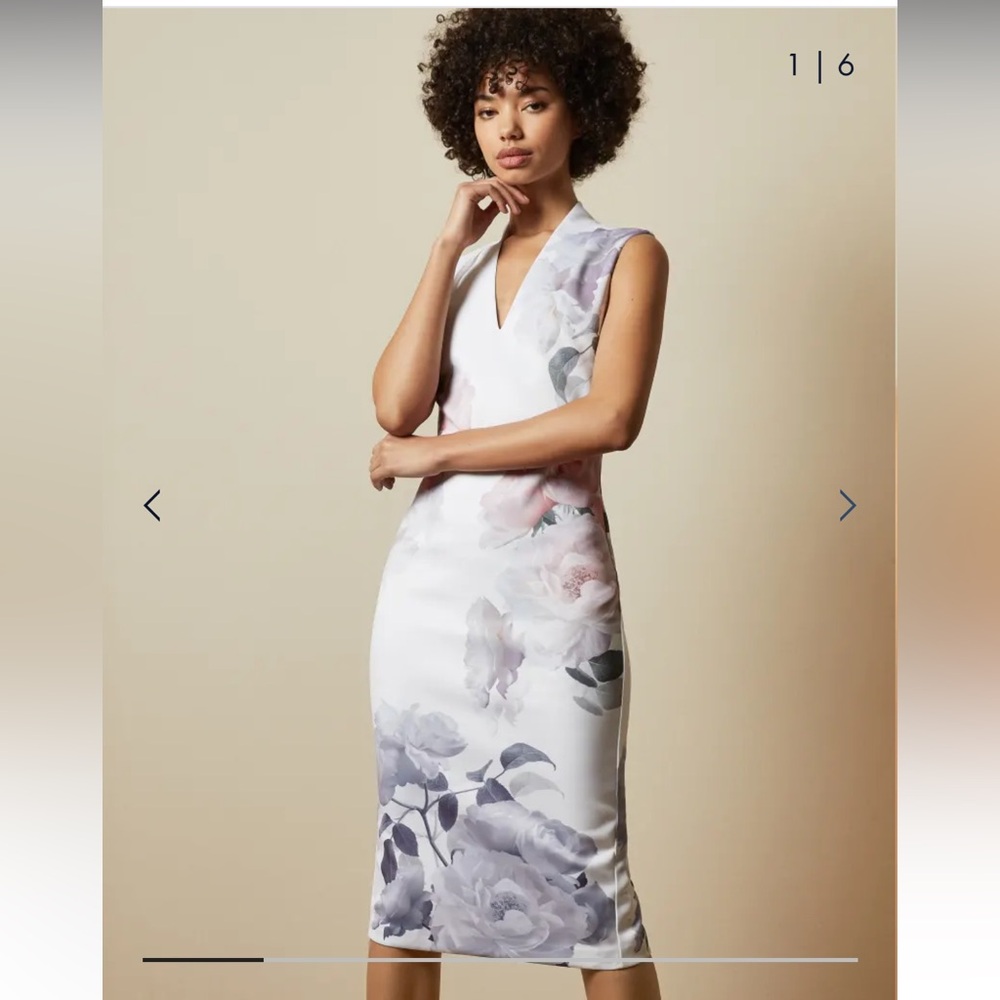 Ted Baker Marah Bouquet Bodycon Dress Sz. 2